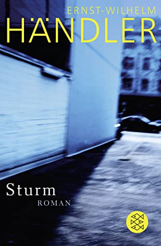 Sturm: Roman von FISCHER Taschenbuch